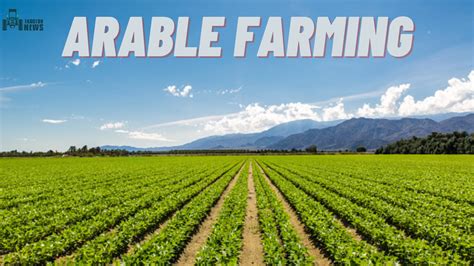   Arable Farming: A Guide to Sustainable Practices - Un Manuale Illuminante sulla Rinascita dell'Agricoltura Sostenibile